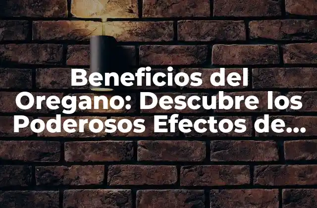 Beneficios Del Oregano: Descubre los Poderosos Efectos de Esta Hierba Milagrosa