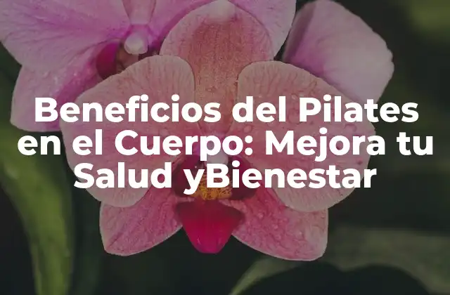 Beneficios Del Pilates en el Cuerpo: Mejora Tu Salud Ybienestar