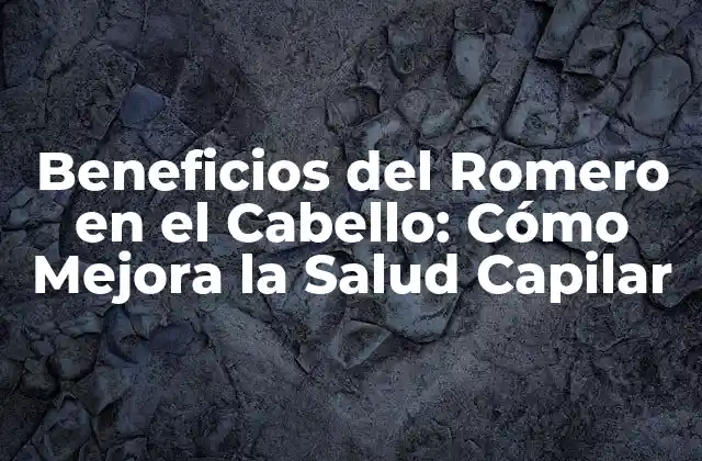 Beneficios Del Romero en el Cabello: Cómo Mejora la Salud Capilar