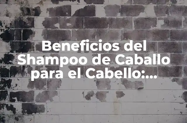 Beneficios Del Shampoo de Caballo para el Cabello: Descubre el Secreto