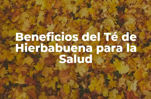 Beneficios Del Té de Hierbabuena para la Salud