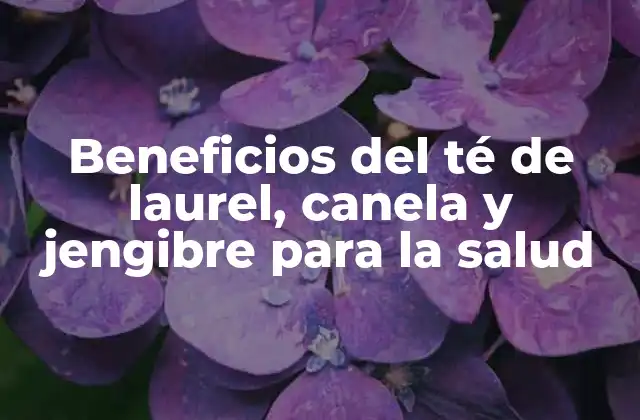 Beneficios Del Té de Laurel, Canela y Jengibre para la Salud