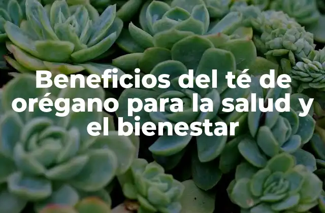 Beneficios Del Té de Orégano para la Salud y el Bienestar