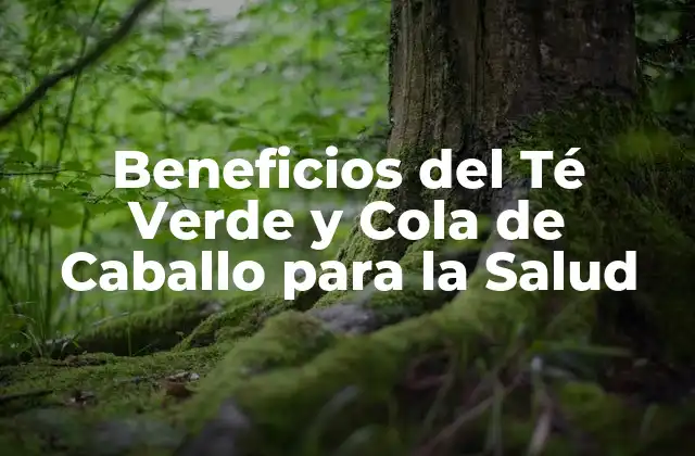 Beneficios Del Té Verde y Cola de Caballo para la Salud
