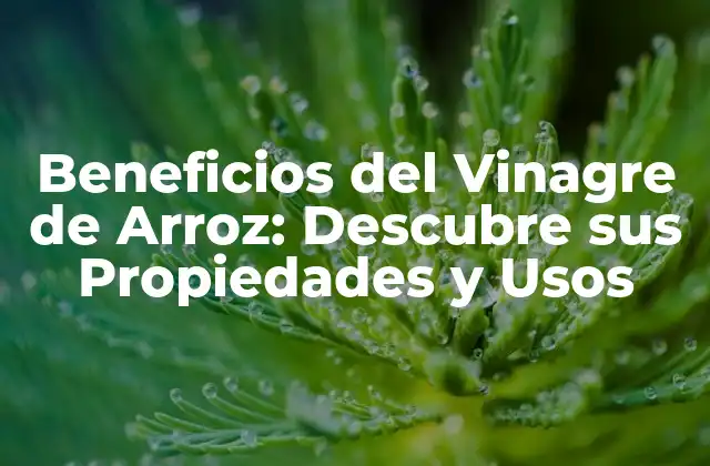 Beneficios Del Vinagre de Arroz: Descubre Sus Propiedades y Usos