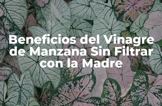Beneficios Del Vinagre de Manzana sin Filtrar con la Madre