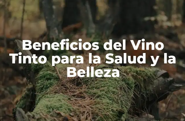 Beneficios Del Vino Tinto para la Salud y la Belleza