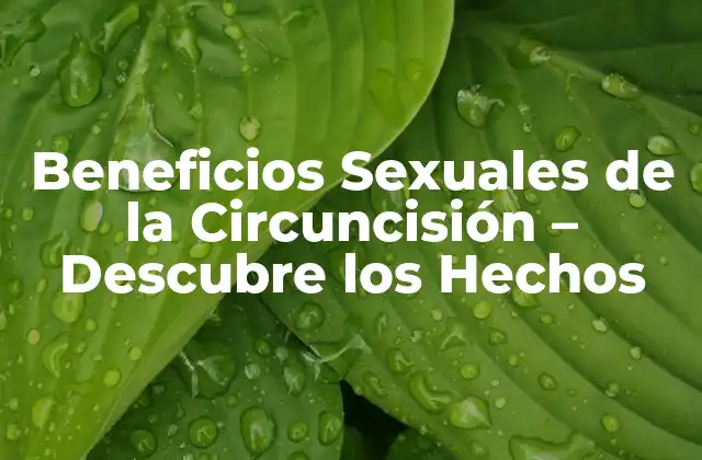 ¿Cuáles son los Beneficios Sexuales de la Circuncisión para la Salud del Pene?