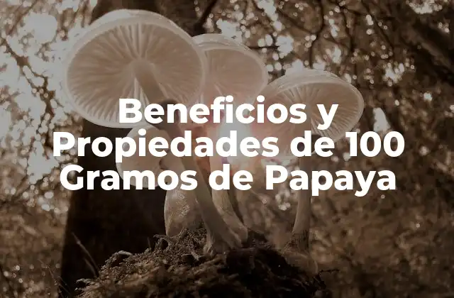 Beneficios y Propiedades de 100 Gramos de Papaya