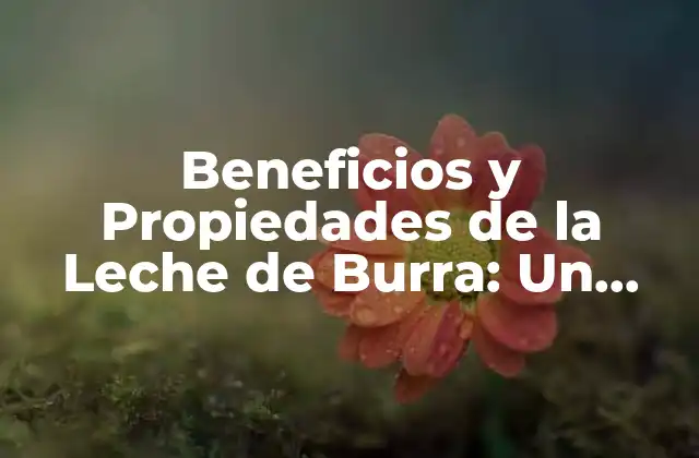 Beneficios y Propiedades de la Leche de Burra: un Producto Natural y Nutritivo
