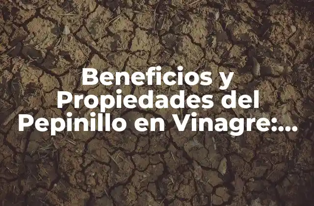Beneficios y Propiedades Del Pepinillo en Vinagre: Descubre Sus Virtudes