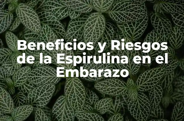 Beneficios y Riesgos de la Espirulina en el Embarazo