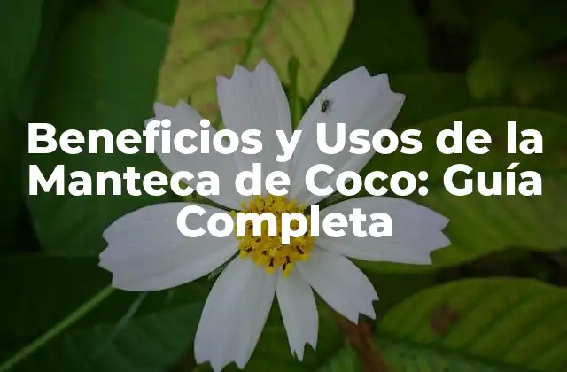 Beneficios y Usos de la Manteca de Coco: Guía Completa