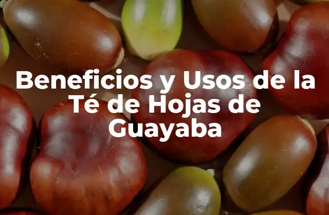 Propiedades Nutricionales de la Té de Hojas de Guayaba