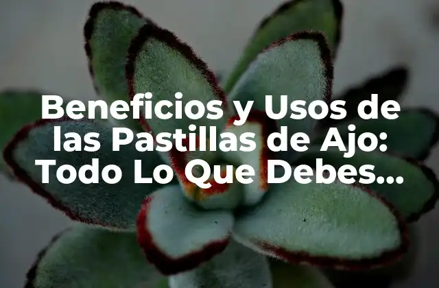 Beneficios y Usos de las Pastillas de Ajo: Todo Lo que Debes Saber