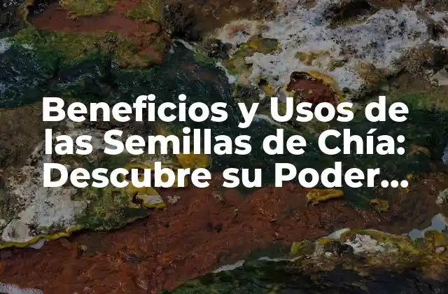 Beneficios y Usos de las Semillas de Chía: Descubre Su Poder Nutricional