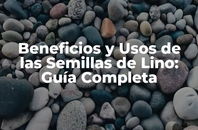 Beneficios y Usos de las Semillas de Lino: Guía Completa 2 Propiedades Nutricionales de las Semillas de Lino