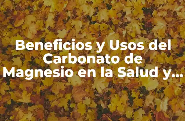 Beneficios y Usos Del Carbonato de Magnesio en la Salud y la Industria