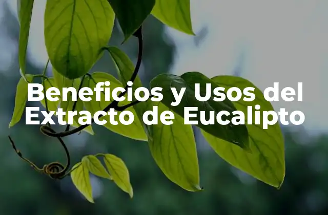 Propiedades del Extracto de Eucalipto