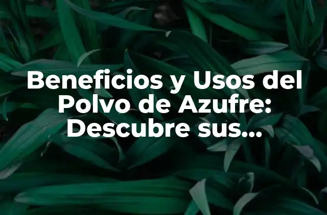 Beneficios y Usos Del Polvo de Azufre: Descubre Sus Propiedades y Aplicaciones