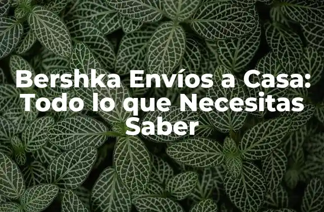 Bershka Envíos a Casa: Todo Lo que Necesitas Saber