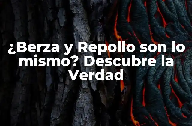 ¿berza y Repollo Son Lo Mismo? Descubre la Verdad