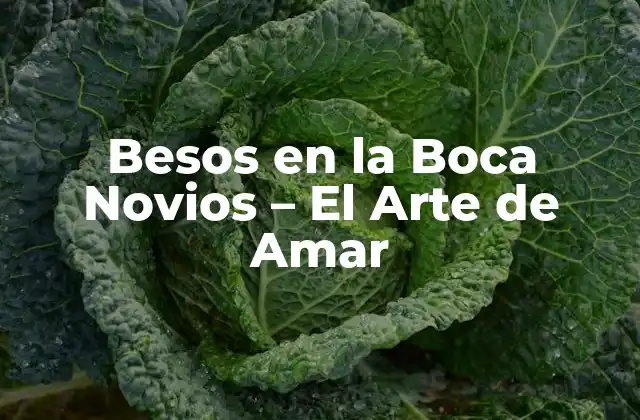 Besos en la Boca Novios - el Arte de Amar 2 ¿Por qué los Besos en la Boca son Tan Importantes en una Relación?