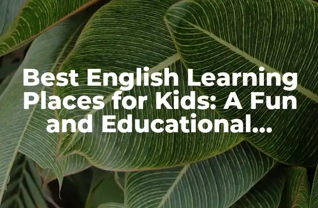 Best English Learning Places For Kids: a Fun And Educational Experience