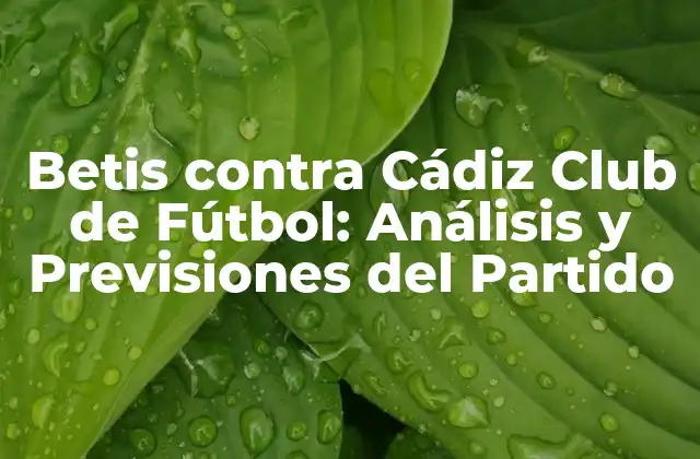Betis contra Cádiz Club de Fútbol: Análisis y Previsiones Del Partido