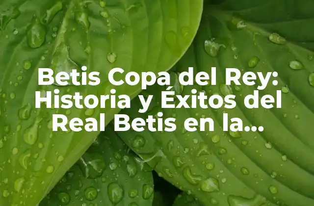 Betis Copa Del Rey: Historia y Éxitos Del Real Betis en la Competición