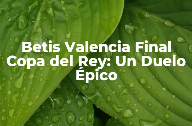 Betis Valencia Final Copa Del Rey: un Duelo Épico 2 La Trayectoria del Betis hacia la Final