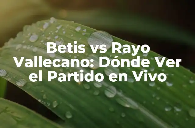 Historia del Partido: Betis vs Rayo Vallecano, Un Duelo de Idas y Vueltas