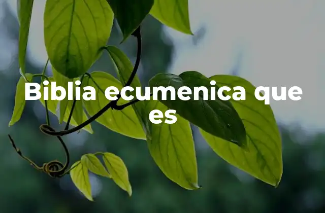 Biblia Ecumenica que es
