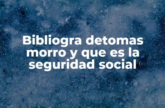 Bibliogra Detomas Morro y que es la Seguridad Social