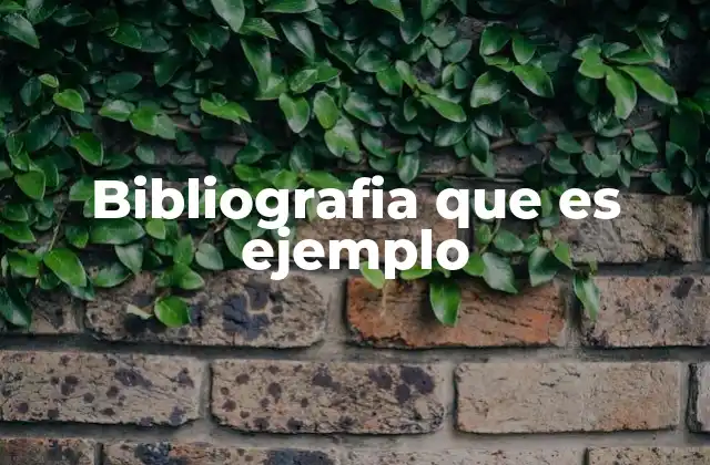 La importancia de una bibliografía bien elaborada
