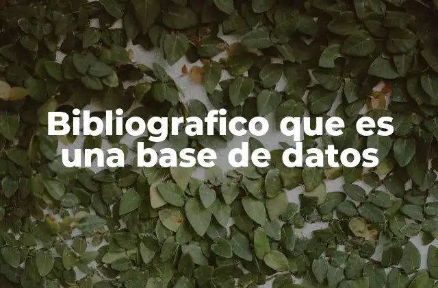 La importancia de las bases de datos en la investigación académica