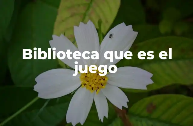 Juegos basados en bibliotecas y el mundo del conocimiento