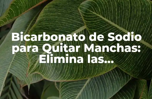 Bicarbonato de Sodio para Quitar Manchas: Elimina las Imperfecciones de Tu Ropa