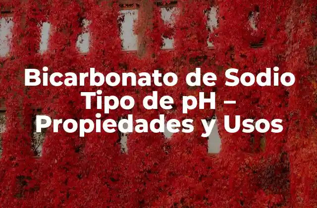 Bicarbonato de Sodio Tipo de Ph – Propiedades y Usos