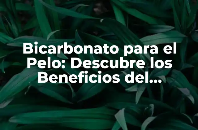 Bicarbonato para el Pelo: Descubre los Beneficios Del Bicarbonato Sódico para Tu Cabello