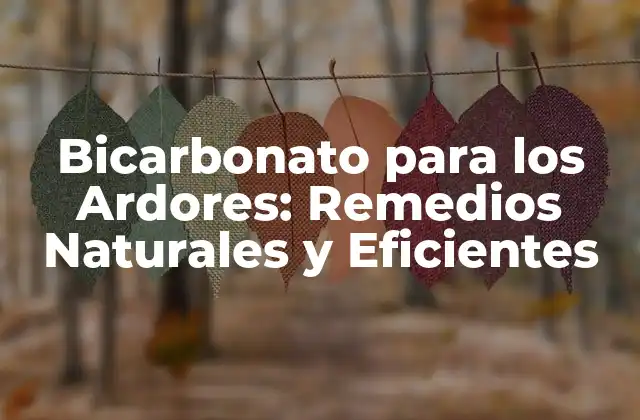 Bicarbonato para los Ardores: Remedios Naturales y Eficientes