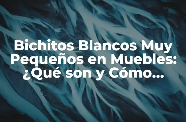 Bichitos Blancos Muy Pequeños en Muebles: ¿qué Son y Cómo Eliminarlos?