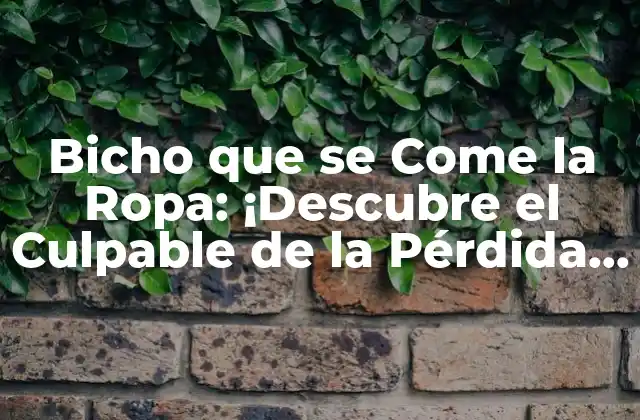 Bicho que Se Come la Ropa: ¡descubre el Culpable de la Pérdida de Tus Prendas Favoritas!