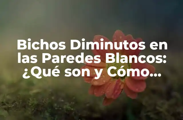 Bichos Diminutos en las Paredes Blancos: ¿qué Son y Cómo Eliminarlos?