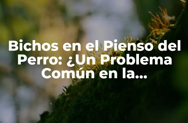 Bichos en el Pienso Del Perro: ¿un Problema Común en la Alimentación Canina?