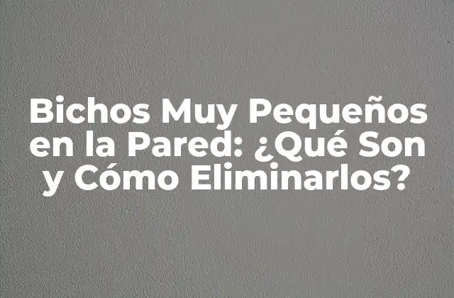 Bichos Muy Pequeños en la Pared: ¿qué Son y Cómo Eliminarlos?