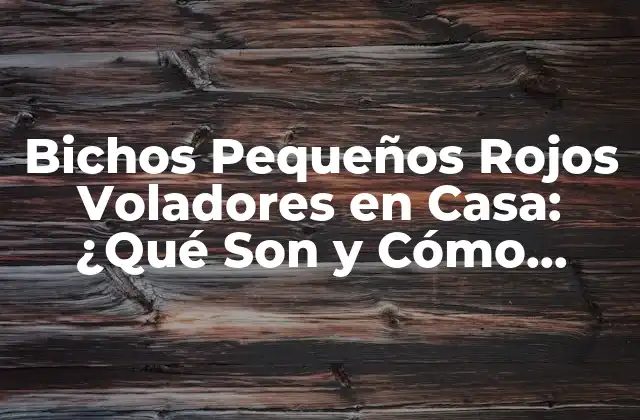 Bichos Pequeños Rojos Voladores en Casa: ¿qué Son y Cómo Eliminarlos?