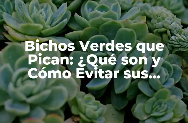 Bichos Verdes que Pican: ¿qué Son y Cómo Evitar Sus Picaduras?