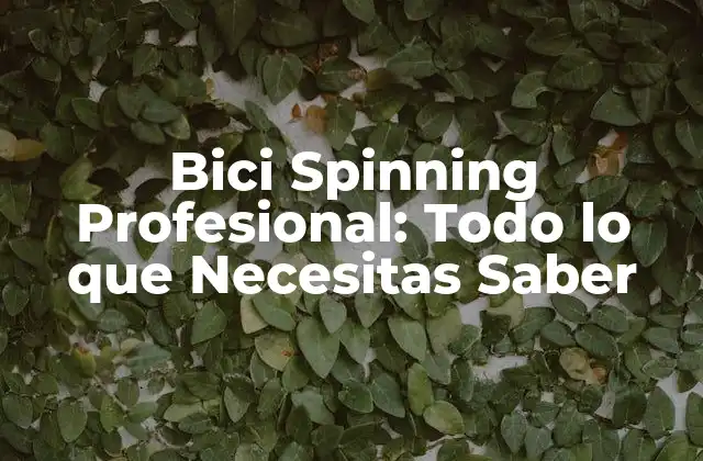 Bici Spinning Profesional: Todo Lo que Necesitas Saber