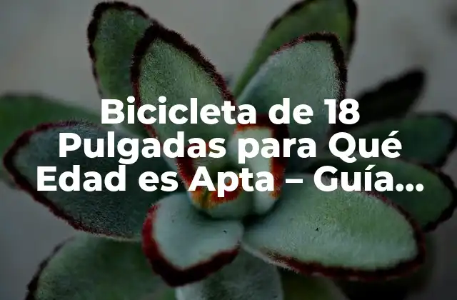 ¿Cuál es la Edad Ideal para una Bicicleta de 18 Pulgadas?